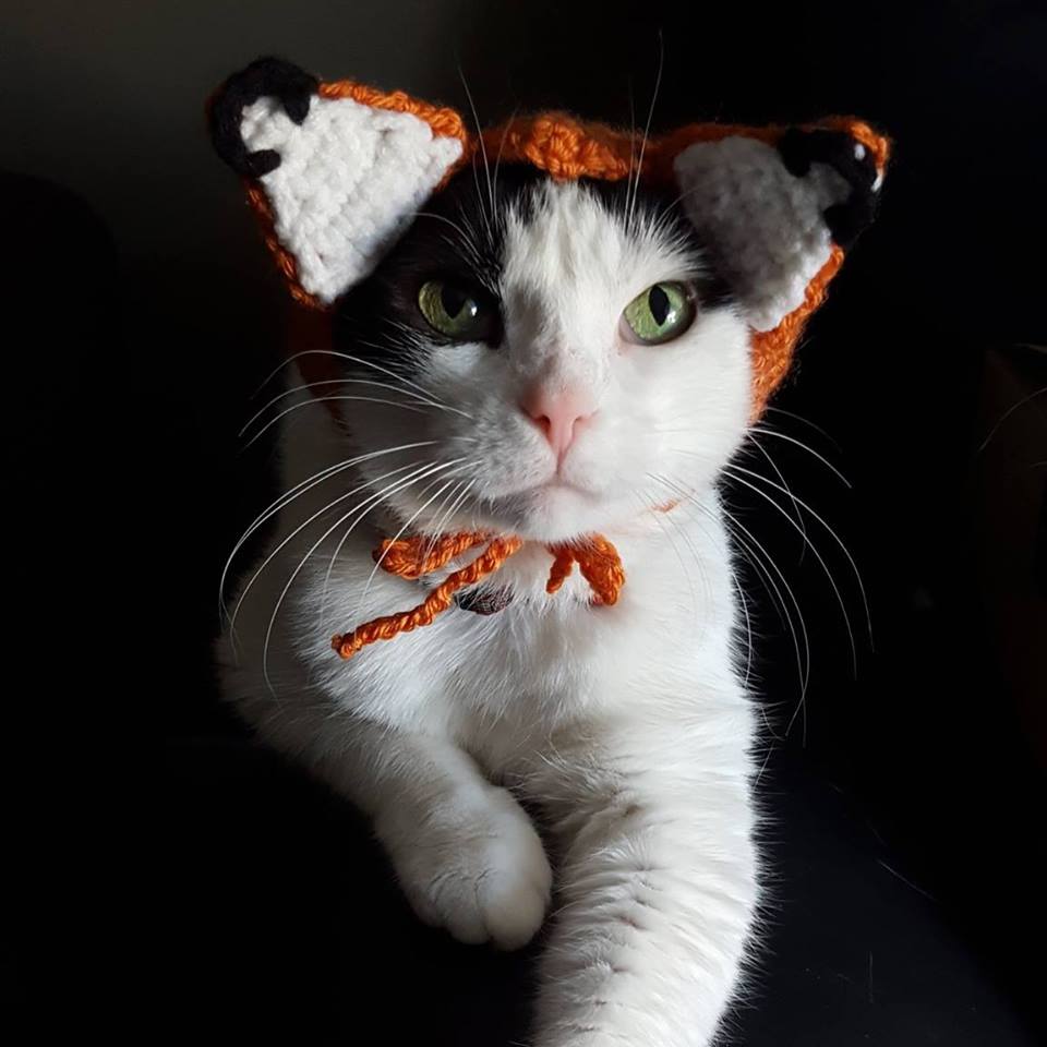 Tasha Cooper Maker Picture