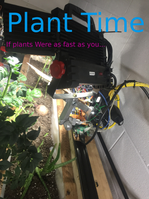 Plant Time project image